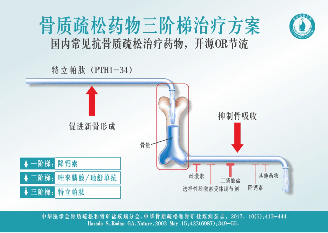 骨質疏松可防可治